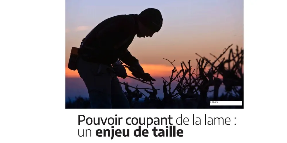 TMS et Sécateurs électriques